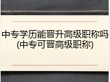中专学历能晋升高级职称吗(中专可晋高级职称)