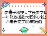 西安电子科技大学长安学院一年财政拨款大概多少钱(西电长安学院年拨款)
