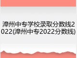 漳州中专学校录取分数线2022(漳州中专2022分数线)