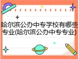 哈尔滨公办中专学校有哪些专业(哈尔滨公办中专专业)