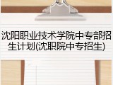 沈阳职业技术学院中专部招生计划(沈职院中专招生)