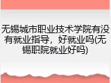 无锡城市职业技术学院有没有就业指导，好就业吗(无锡职院就业好吗)
