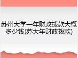 苏州大学一年财政拨款大概多少钱(苏大年财政拨款)