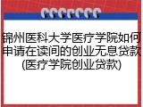 锦州医科大学医疗学院如何申请在读间的创业无息贷款(医疗学院创业贷款)
