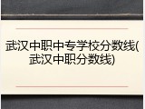 武汉中职中专学校分数线(武汉中职分数线)