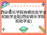西安音乐学院有哪些奖学金和助学金呢(西安音乐学院奖助学金)