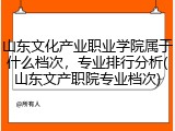 山东文化产业职业学院属于什么档次，专业排行分析(山东文产职院专业档次)