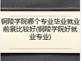 铜陵学院哪个专业毕业就业前景比较好(铜陵学院好就业专业)