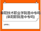 阜阳技术职业学院是中专吗(阜阳职院是中专吗)