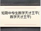 短剧中专生数学天才王平(数学天才王平)