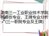湖南三一工业职业技术学院有哪些专业，王牌专业分析(三一职院专业及王牌)