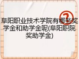 阜阳职业技术学院有哪些奖学金和助学金呢(阜阳职院奖助学金)