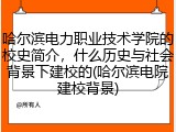 哈尔滨电力职业技术学院的校史简介，什么历史与社会背景下建校的(哈尔滨电院建校背景)