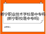 新宁职业技术学校是中专吗(新宁职校是中专吗)