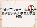 宁波诺丁汉大学一年奖学金最多能拿多少(宁诺奖学金上限)