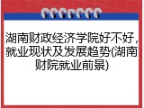 湖南财政经济学院好不好，就业现状及发展趋势(湖南财院就业前景)