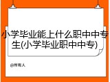 小学毕业能上什么职中中专生(小学毕业职中中专)