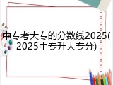 中专考大专的分数线2025(2025中专升大专分)