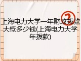 上海电力大学一年财政拨款大概多少钱(上海电力大学年拨款)