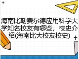 海南比勒费尔德应用科学大学知名校友有哪些，校史介绍(海南比大校友校史)