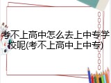 考不上高中怎么去上中专学校呢(考不上高中上中专)