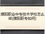 濮阳职业中专技术学校怎么样(濮阳职专如何)