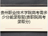 贵州职业技术学院高考需多少分能录取呢(贵职院高考录取分)