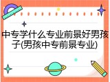 中专学什么专业前景好男孩子(男孩中专前景专业)