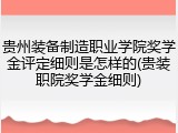 贵州装备制造职业学院奖学金评定细则是怎样的(贵装职院奖学金细则)
