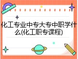 化工专业中专大专中职学什么(化工职专课程)