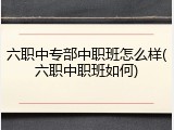 六职中专部中职班怎么样(六职中职班如何)