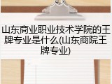山东商业职业技术学院的王牌专业是什么(山东商院王牌专业)