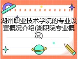 湖州职业技术学院的专业设置概况介绍(湖职院专业概况)