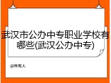 武汉市公办中专职业学校有哪些(武汉公办中专)
