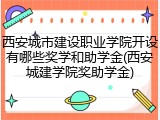 西安城市建设职业学院开设有哪些奖学和助学金(西安城建学院奖助学金)