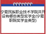 宁夏民族职业技术学院共开设有哪些类型奖学金(宁夏职院奖学金类型)