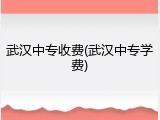武汉中专收费(武汉中专学费)