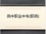 高中职业中专(职高)