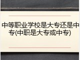 中等职业学校是大专还是中专(中职是大专或中专)