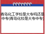 青岛化工学校是大专吗还是中专(青岛化校是大专中专)