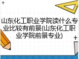 山东化工职业学院读什么专业比较有前景(山东化工职业学院前景专业)