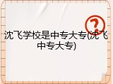 沈飞学校是中专大专(沈飞中专大专)