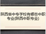 陕西省中专学校有哪些中职专业(陕西中职专业)