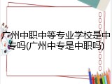 广州中职中等专业学校是中专吗(广州中专是中职吗)