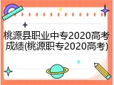 桃源县职业中专2020高考成绩(桃源职专2020高考)