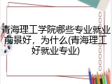 青海理工学院哪些专业就业前景好，为什么(青海理工好就业专业)