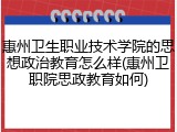 惠州卫生职业技术学院的思想政治教育怎么样(惠州卫职院思政教育如何)