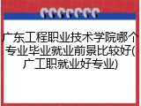 广东工程职业技术学院哪个专业毕业就业前景比较好(广工职就业好专业)