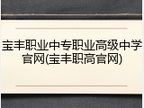 宝丰职业中专职业高级中学官网(宝丰职高官网)