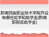 黔南民族职业技术学院开设有哪些奖学和助学金(黔南职院奖助学金)
